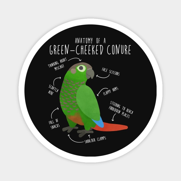 Green Cheek Conure Anatomy Magnet by Psitta